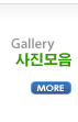 사진모음
